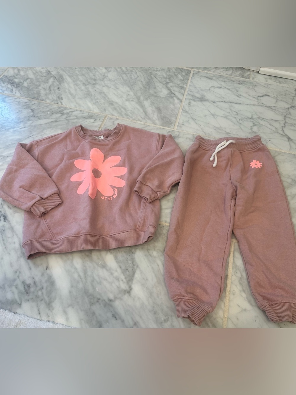 Zara Mauve Sweatshirt & Joggers Set with Pink Flower